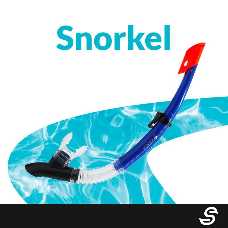 Snorkel